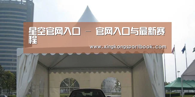 案例标题八