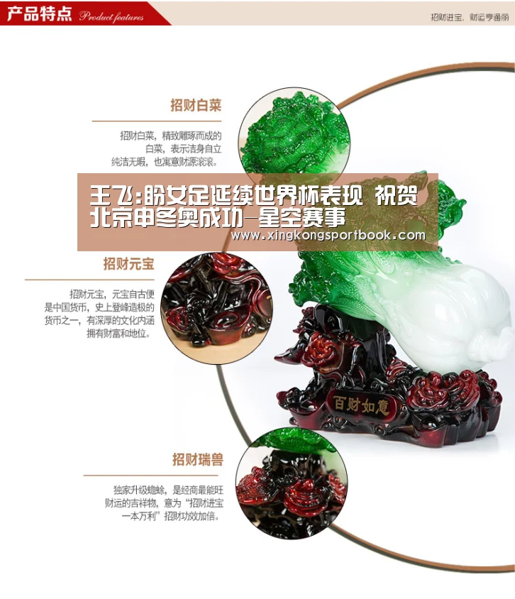王飞:盼女足延续世界杯表现 祝贺北京申冬奥成功-星空赛事(图1) 星空下载
