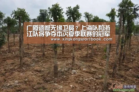 广厦遗憾无缘卫冕?上海队和浙江队将争夺本次夏季联赛的冠军‘星空下载’(图3) 星空官网