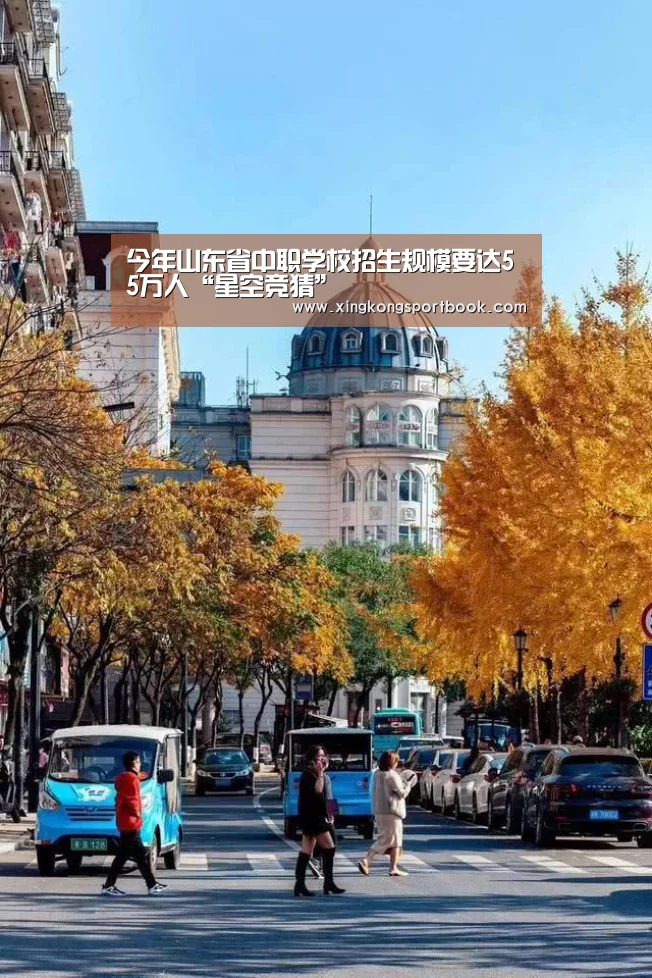 今年山东省中职学校招生规模要达55万人“星空竞猜”(图2) 星空官网