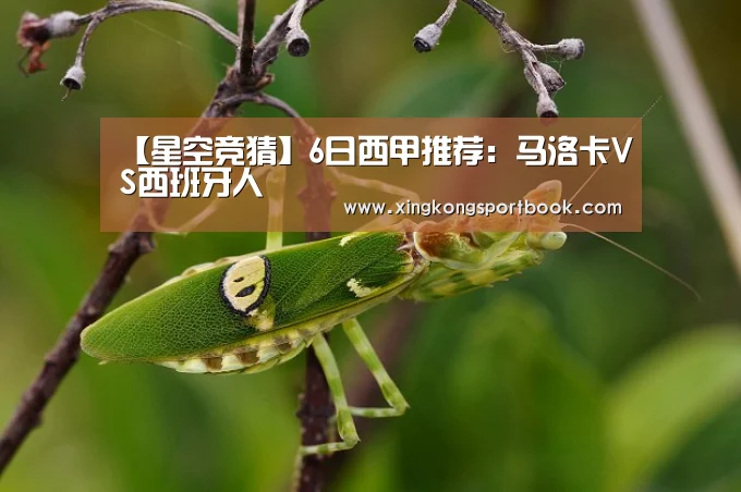【星空竞猜】6日西甲推荐:马洛卡VS西班牙人(图2) 星空竞猜
