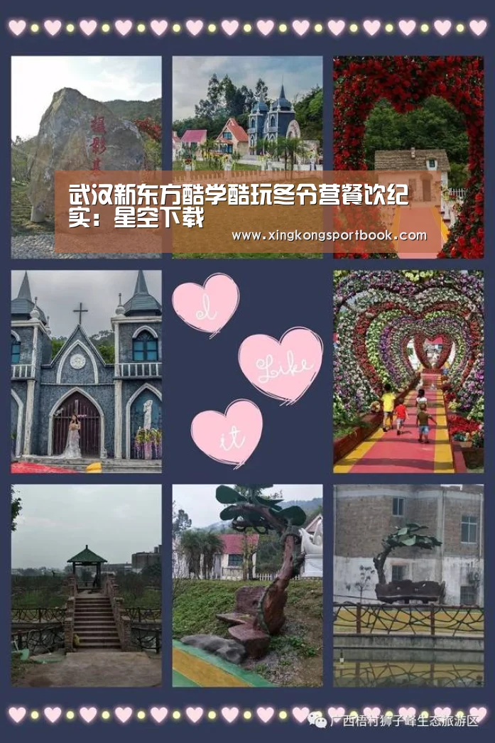 武汉新东方酷学酷玩冬令营餐饮纪实:星空下载(图2) 星空赛事