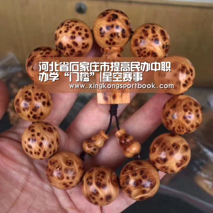 河北省石家庄市提高民办中职办学“门槛”|星空赛事(图2) 星空官网
