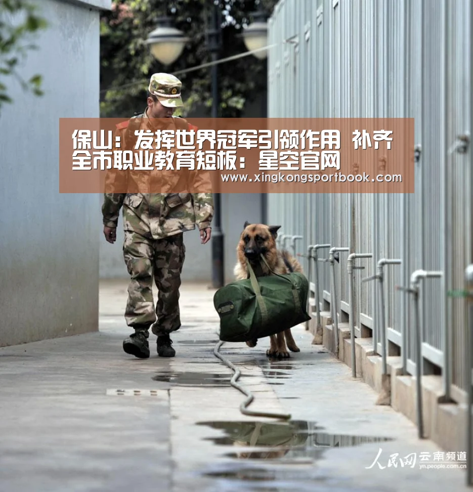 保山:发挥世界冠军引领作用 补齐全市职业教育短板:星空官网(图2) 星空竞猜